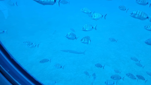 ../images/fotoalbum/lanzarote23/2023-09-14 13.38.19